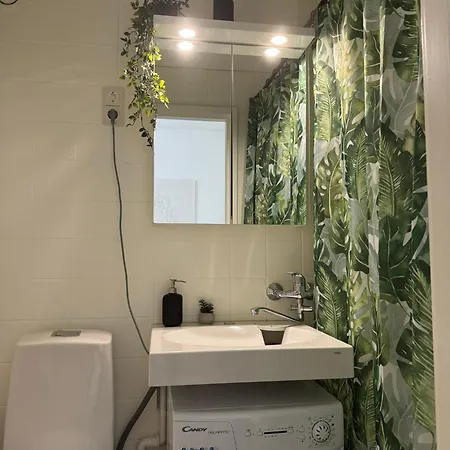 Boho-yksioe Porin Sydaemestae Apartment