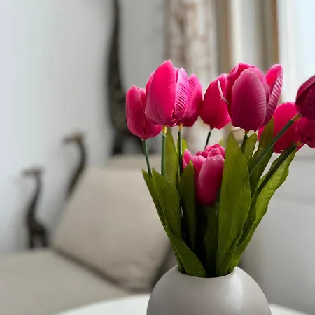 Apartament Boho-yksioe Porin Sydaemestae Pori
